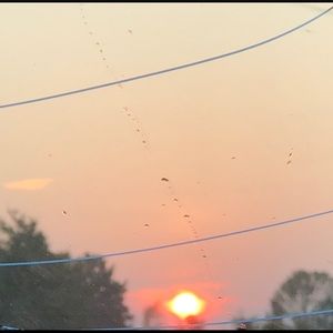 Meet your Posher, Cailee